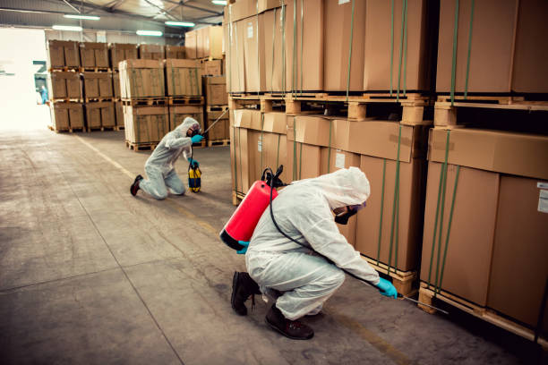 Best Emergency Pest Control  in Sandia Knolls, NM
