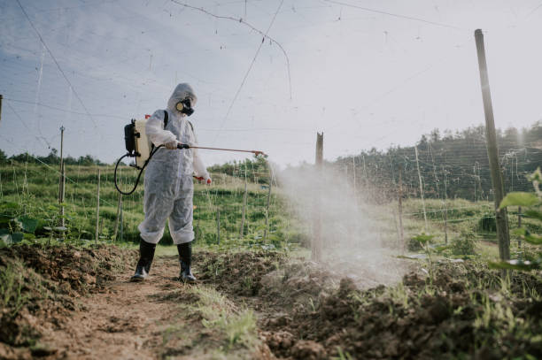 Best Pest Removal Services  in Sandia Knolls, NM