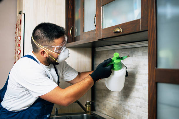 Reliable Sandia Knolls, NM Pest Control Solutions