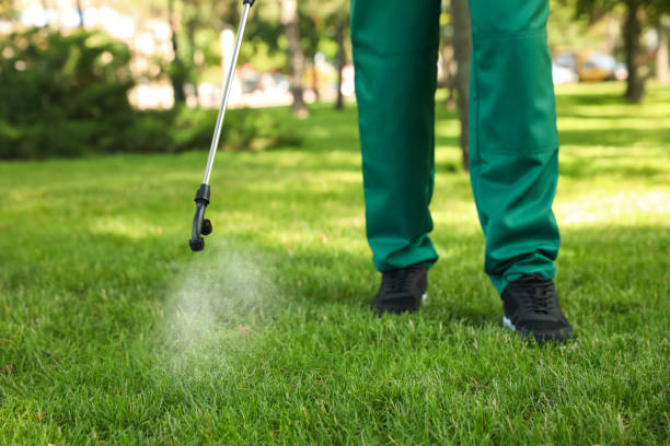 Best Residential Pest Control  in Sandia Knolls, NM