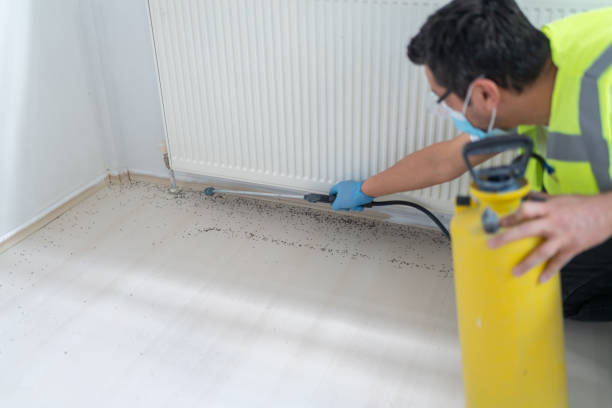 Best Pest Prevention Services  in Sandia Knolls, NM