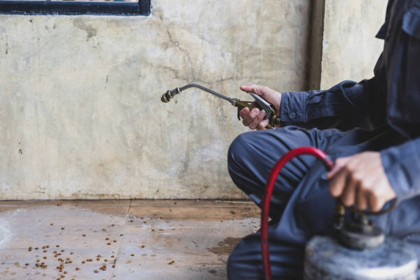 Best Best Pest Control Companies  in Sandia Knolls, NM