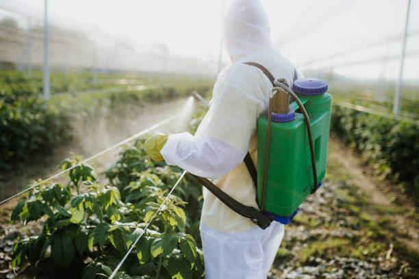 Best Bed Bug Extermination  in Sandia Knolls, NM